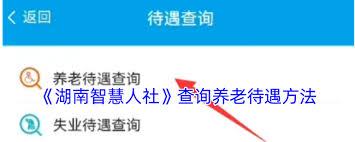 湖南智慧人社怎么测算养老金