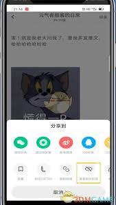 如何在Lofter屏蔽tag
