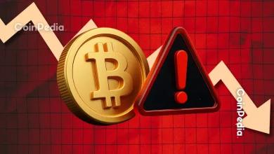 备受争议的加密基金曝光后，智能数字股票暴跌 87%——出了什么问题