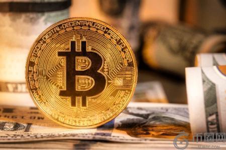 分析师预测：Pepeto或成第四季度加密市场新星，XRP与Cardano热度下降