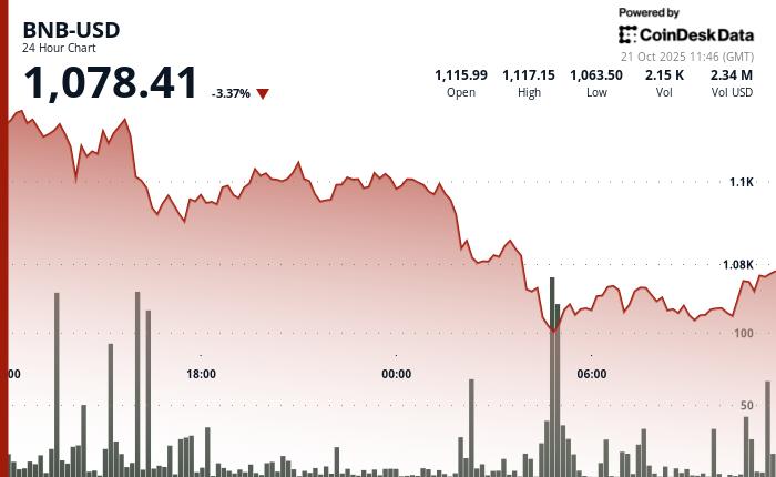 市场震荡削弱支撑位，BNB 下跌 3.3%