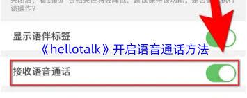 如何开启hellotalk语音通话