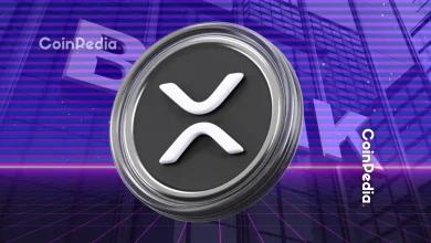 为什么 XRP 价格今天上涨