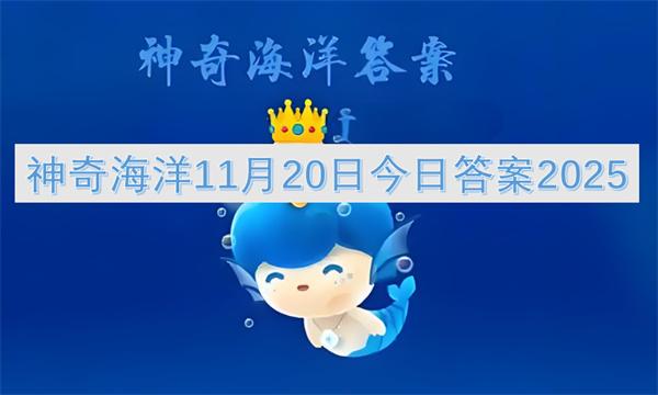 神奇海洋11月20日今日答案2025