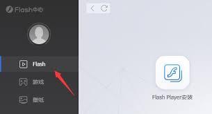 Flash中心运行异常如何解决