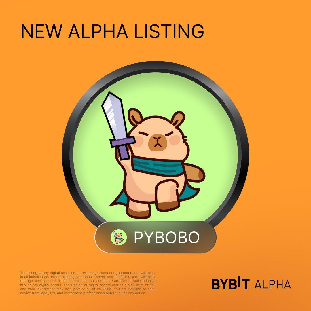 PYBOBO币是什么 值得新手用户投资吗