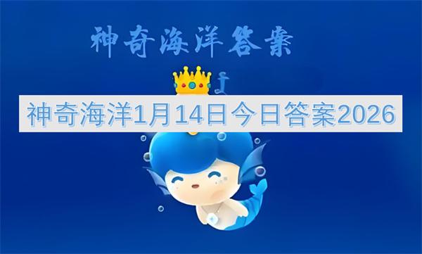 神奇海洋1月14日今日答案2026