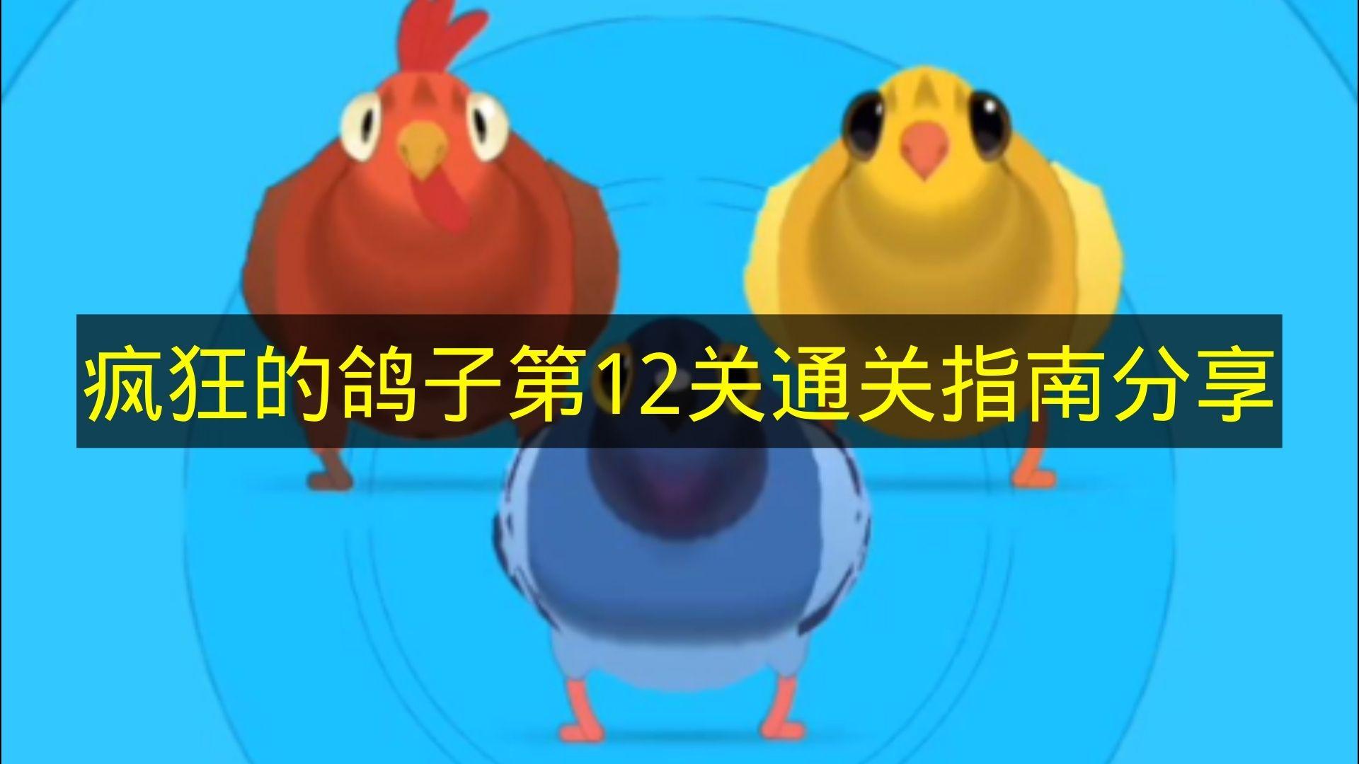 疯狂的鸽子 第12关通关指南分享
